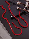 Ganesh Swastik Braid Rakhi Set - Red Thread with Silver Charms